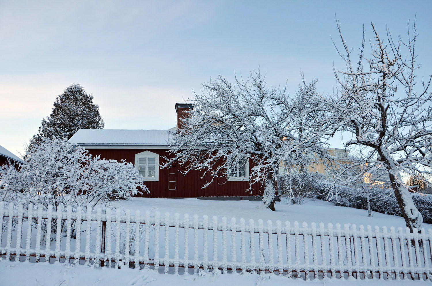 Röste.nu – Röstebilder – Julgransplundring i Dönjegården 2017
