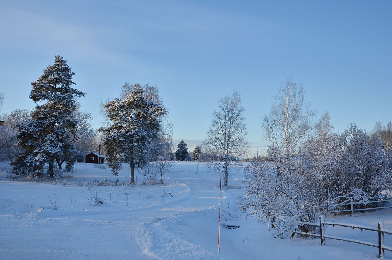 Röste.nu – Röstebilder – Julgransplundring i Dönjegården 2017