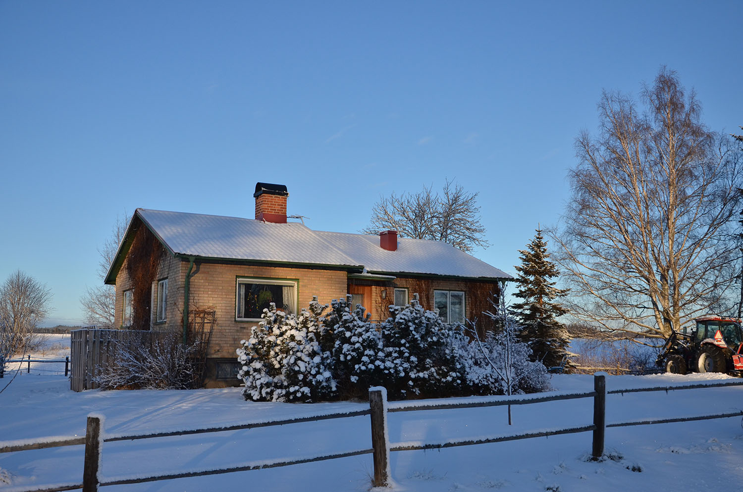Röste.nu – Röstebilder – Julgransplundring i Dönjegården 2017