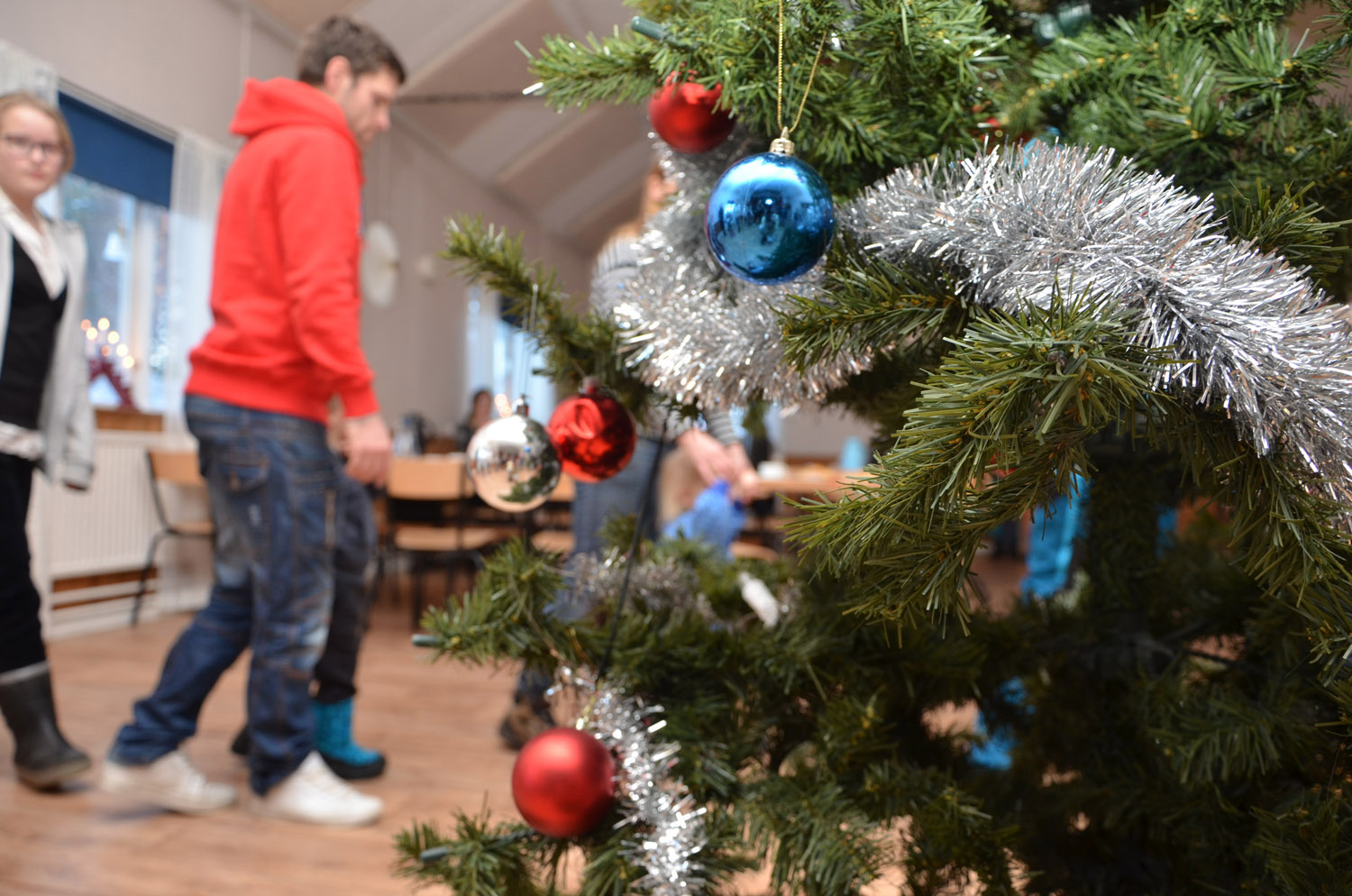 Röste.nu – Röstebilder – Julgransplundring i Dönjegården 2017