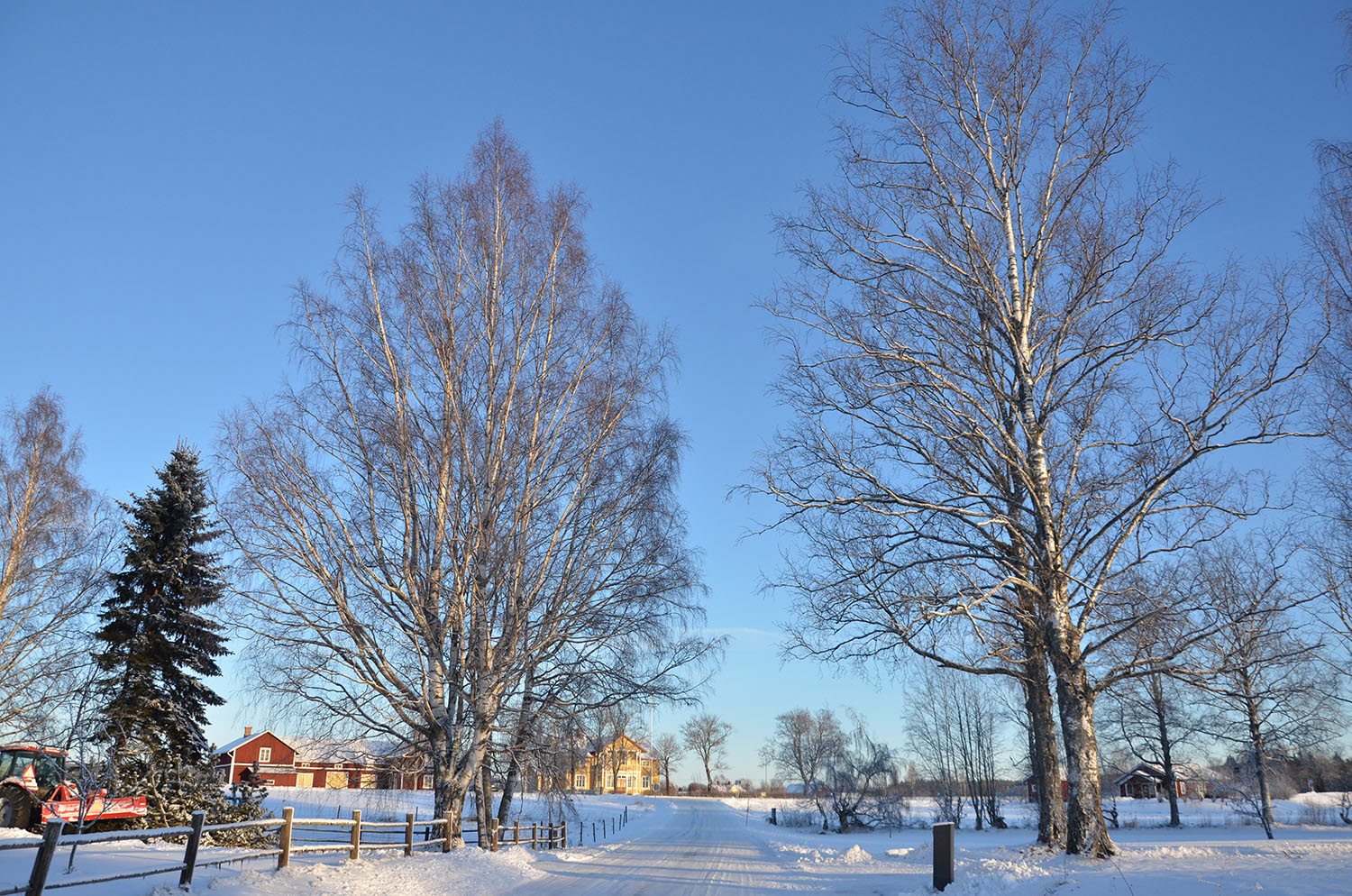 Röste.nu – Röstebilder – Julgransplundring i Dönjegården 2017