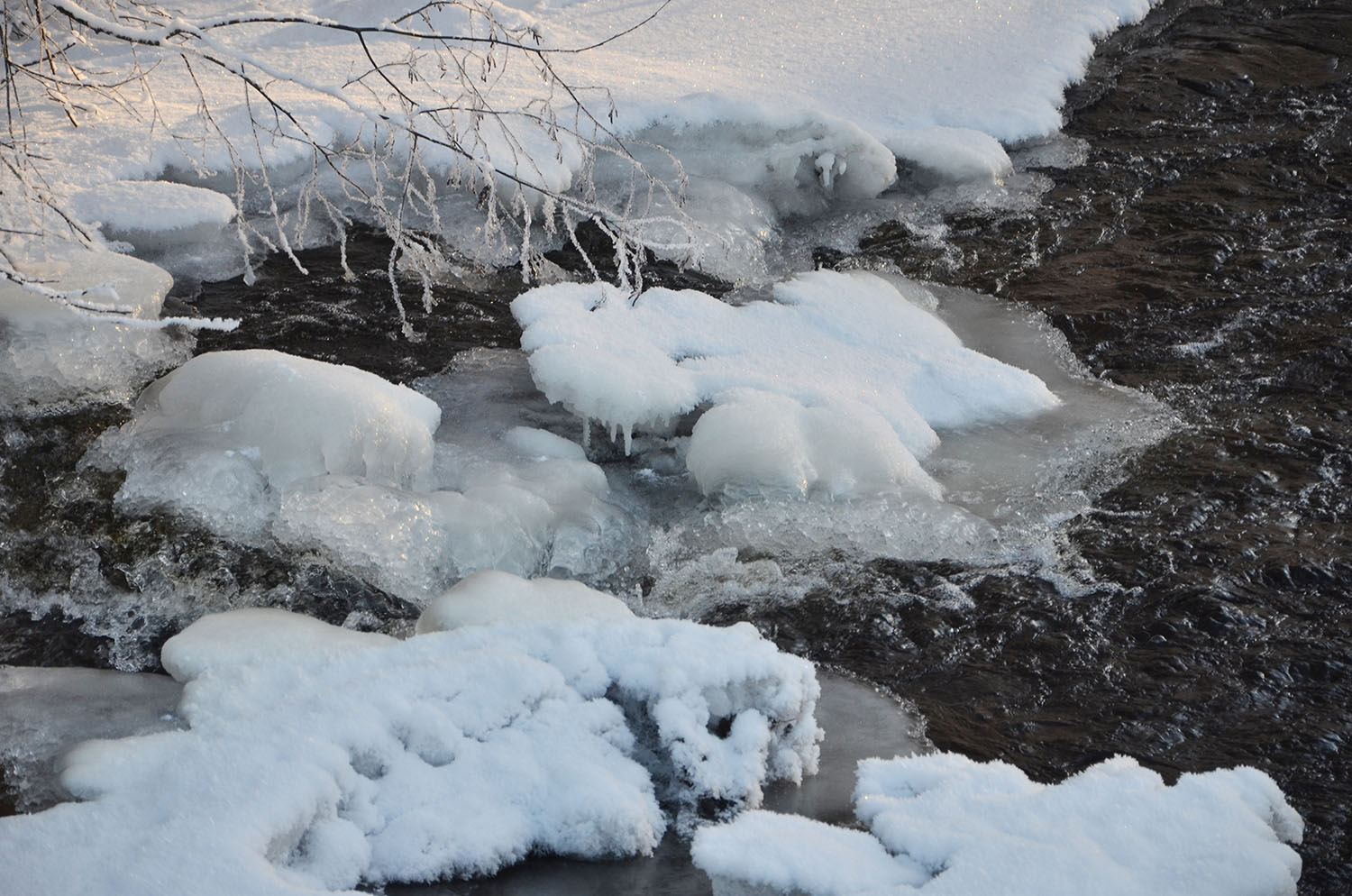 Röste.nu – Röstebilder – Julgransplundring i Dönjegården 2017