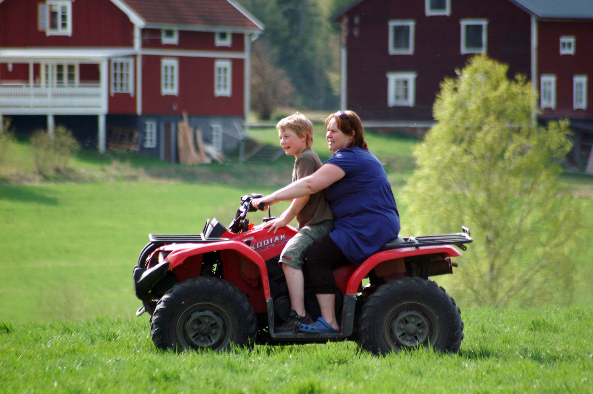 Röste.nu – Röstebilder – Kosläpp i Holmo 2008