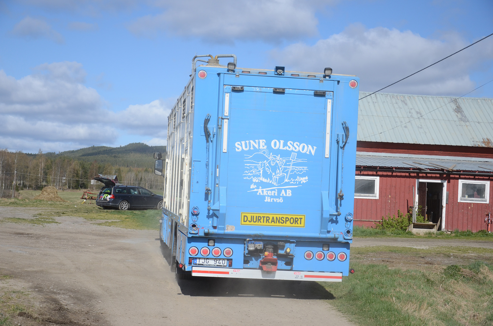 Röste.nu – Röstebilder – 140 kor mötte friheten i Holmo 2014