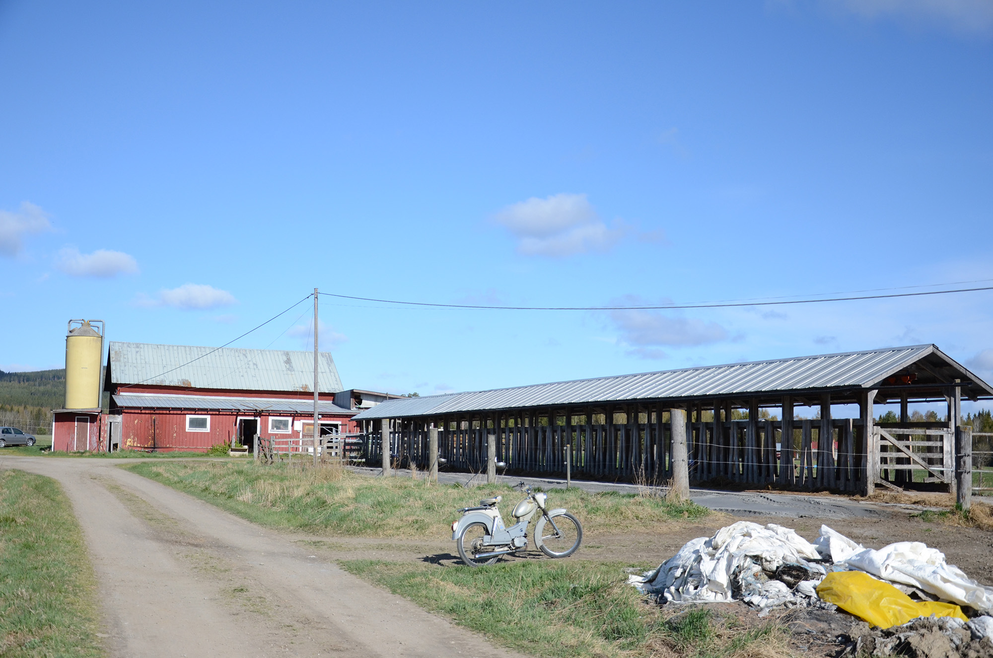 Röste.nu – Röstebilder – 140 kor mötte friheten i Holmo 2014