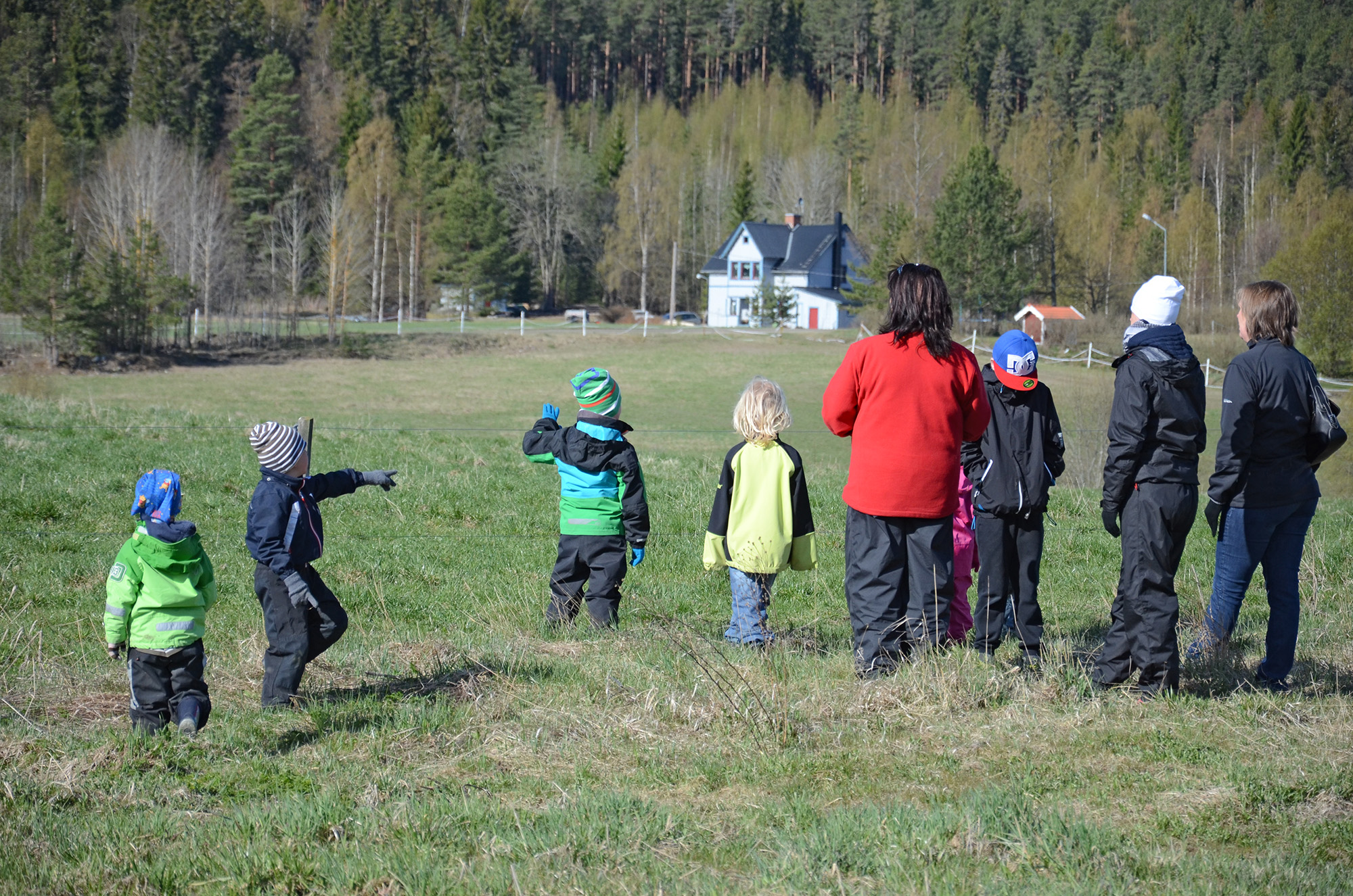 Röste.nu – Röstebilder – 140 kor mötte friheten i Holmo 2014
