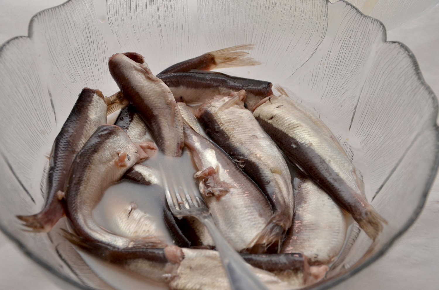 Röste.nu – Röstebilder – Kräft- och surströmmingsfest i Dönjegården 2017