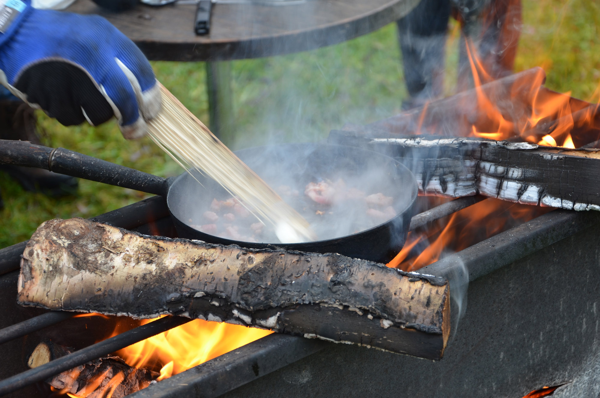 Röste.nu – Röstebilder – Kulturdag i Dönjegården med Stockholmstrubadur, kolbullar och rullrån 2025