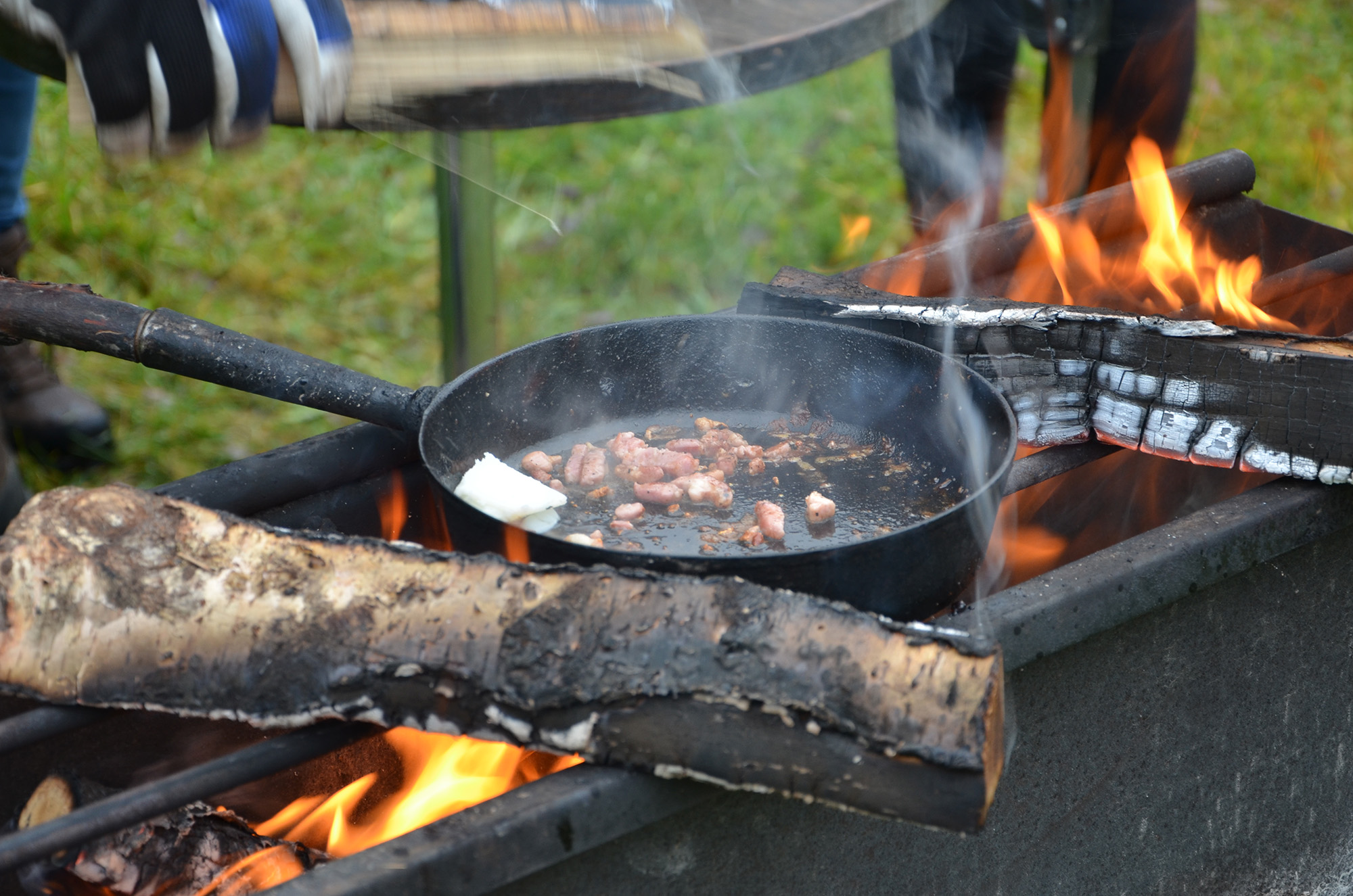 Röste.nu – Röstebilder – Kulturdag i Dönjegården med Stockholmstrubadur, kolbullar och rullrån 2025