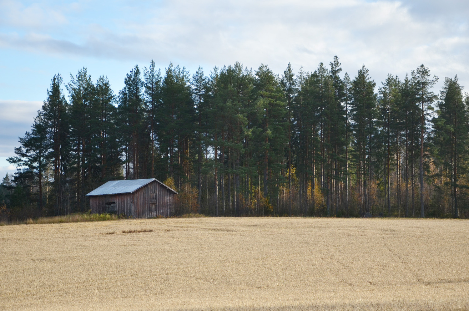 Röste.nu – Röstebilder – Kulturdag i Dönjegården med föreläsning om Röstemord och kolbullespremiär 2017