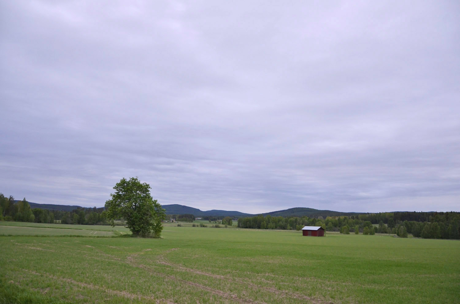Röste.nu – Röstebilder – Logdans i Farmorsladan 2017