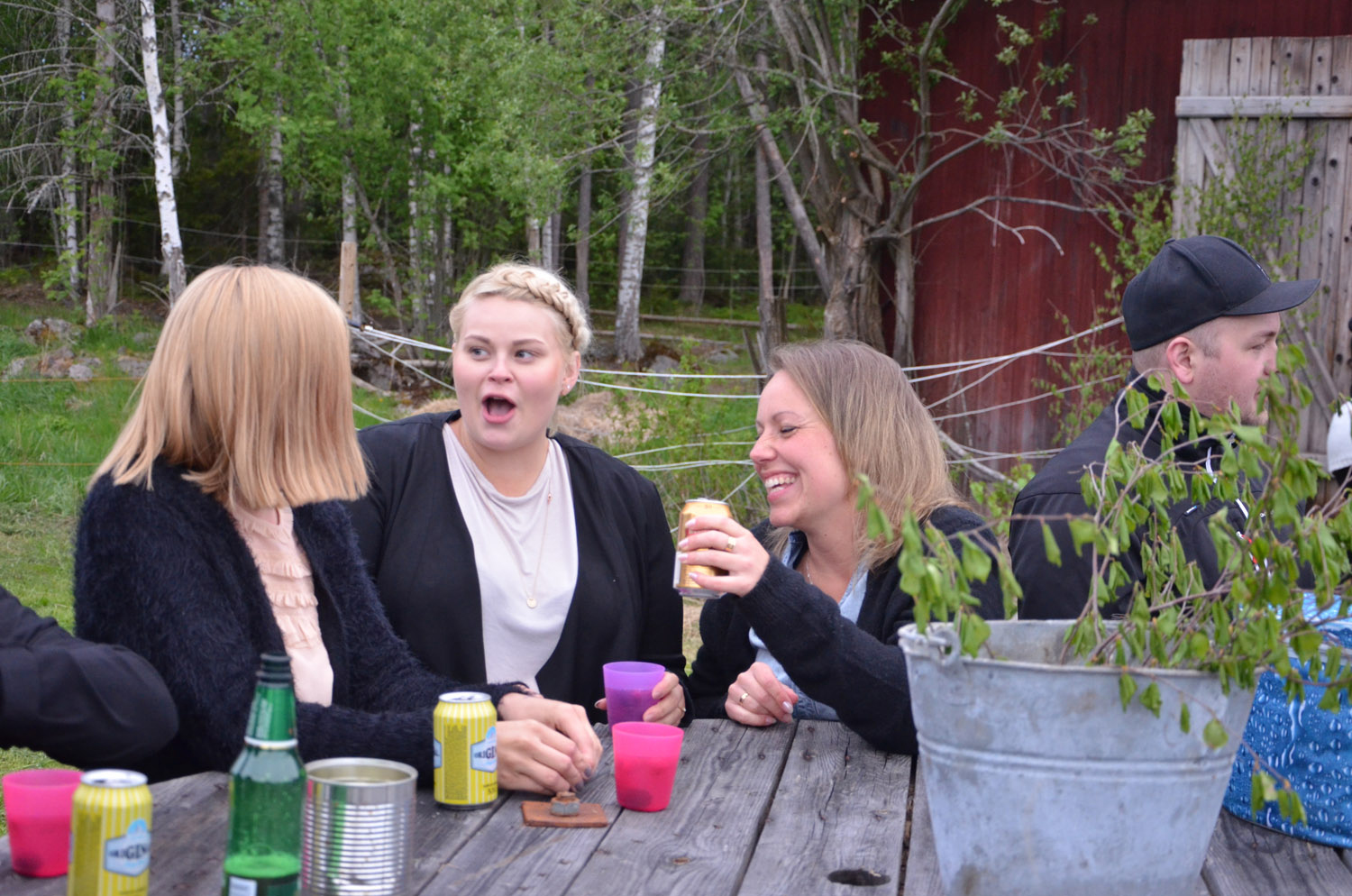 Röste.nu – Röstebilder – Logdans i Farmorsladan 2017