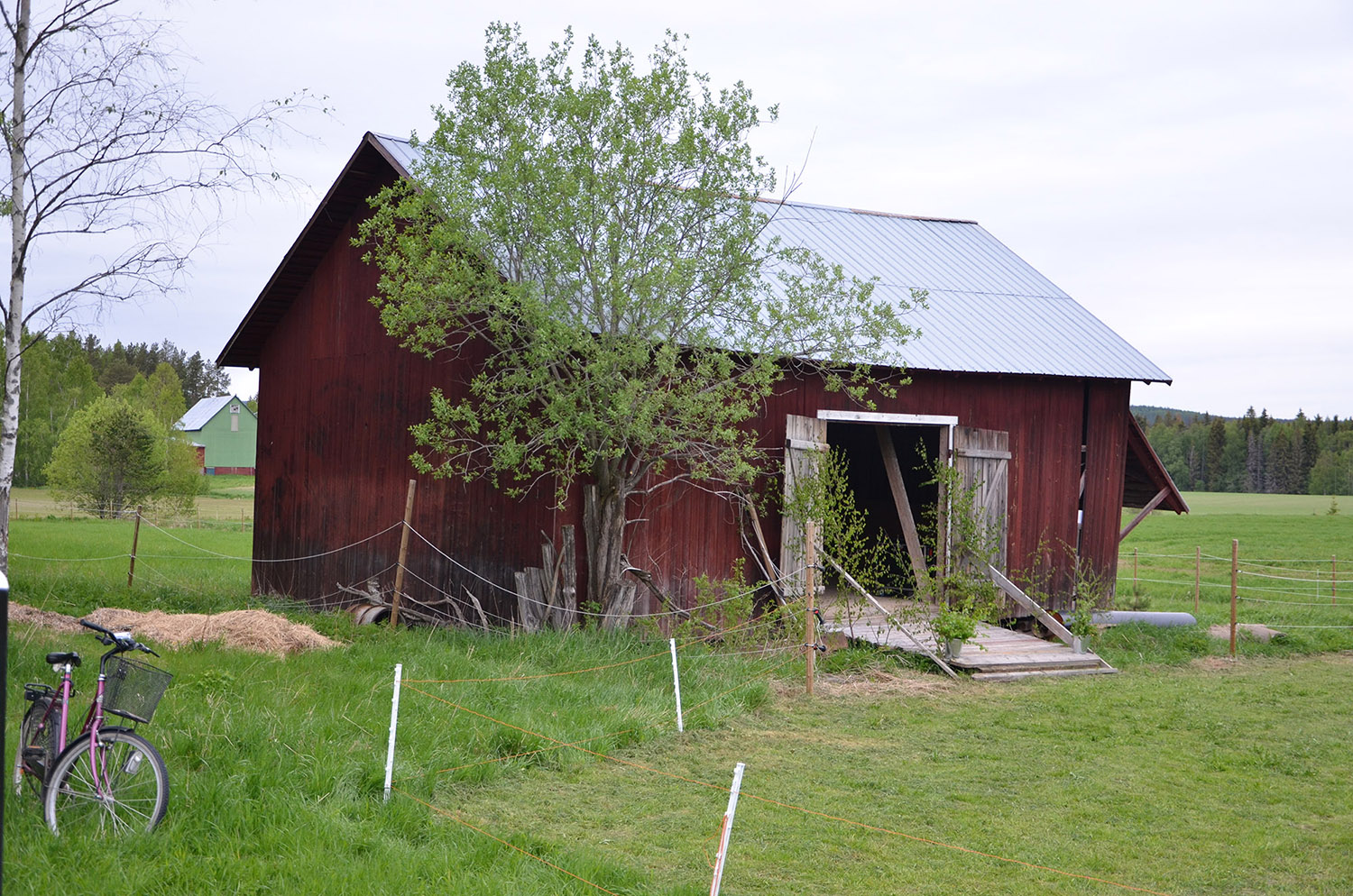 Röste.nu – Röstebilder – Logdans i Farmorsladan 2017