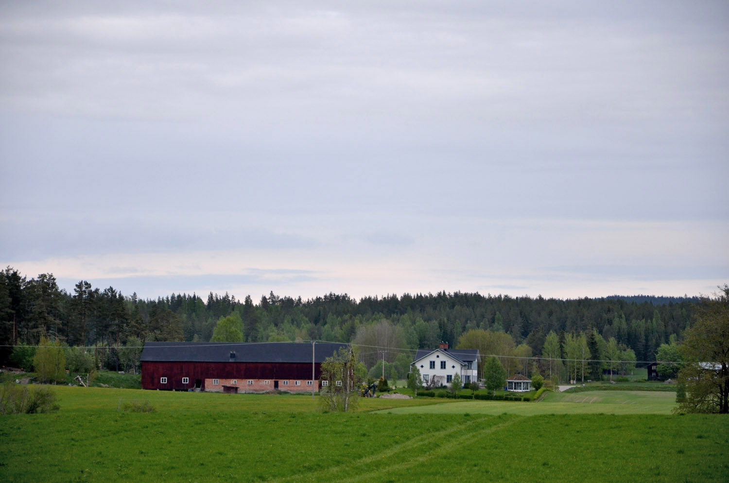 Röste.nu – Röstebilder – Logdans i Farmorsladan 2017