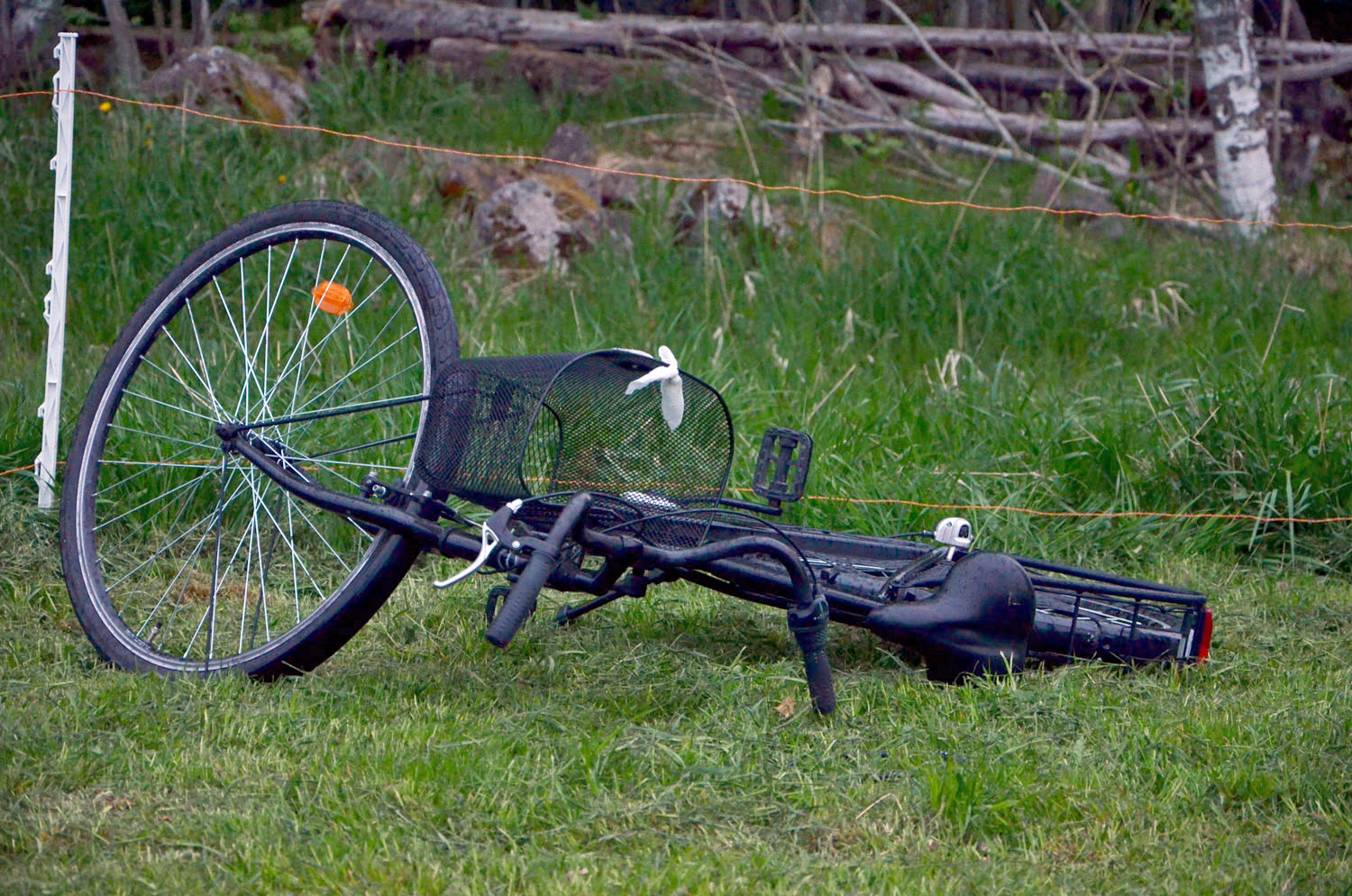 Röste.nu – Röstebilder – Logdans i Farmorsladan 2017