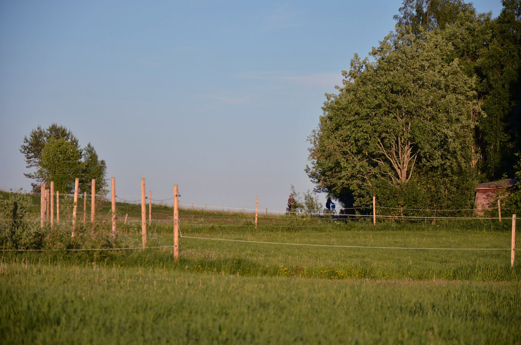 Röste.nu – Röstebilder – Logdans i Farmorsladan 2018