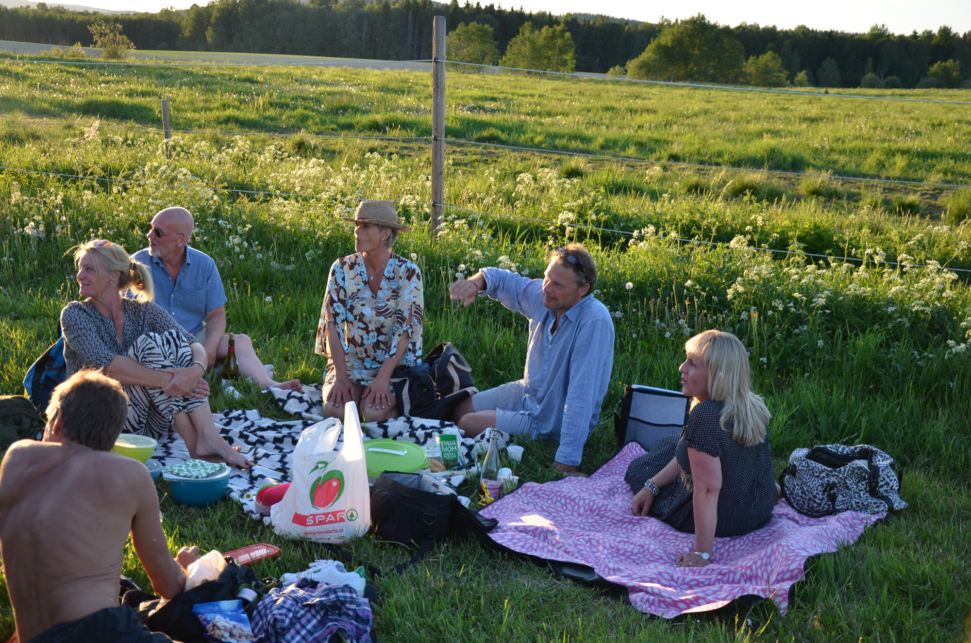 Röste.nu – Röstebilder – Logdans i Farmorsladan 2018