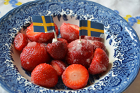Röste.nu – Röstebilder – Midsommarfirande vid Dönjegården 2024