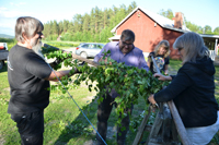 Röste.nu – Röstebilder – Midsommarfirande vid Dönjegården 2024