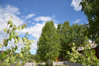 Röste.nu – Röstebilder – Midsommarfirande vid Dönjegården 2024