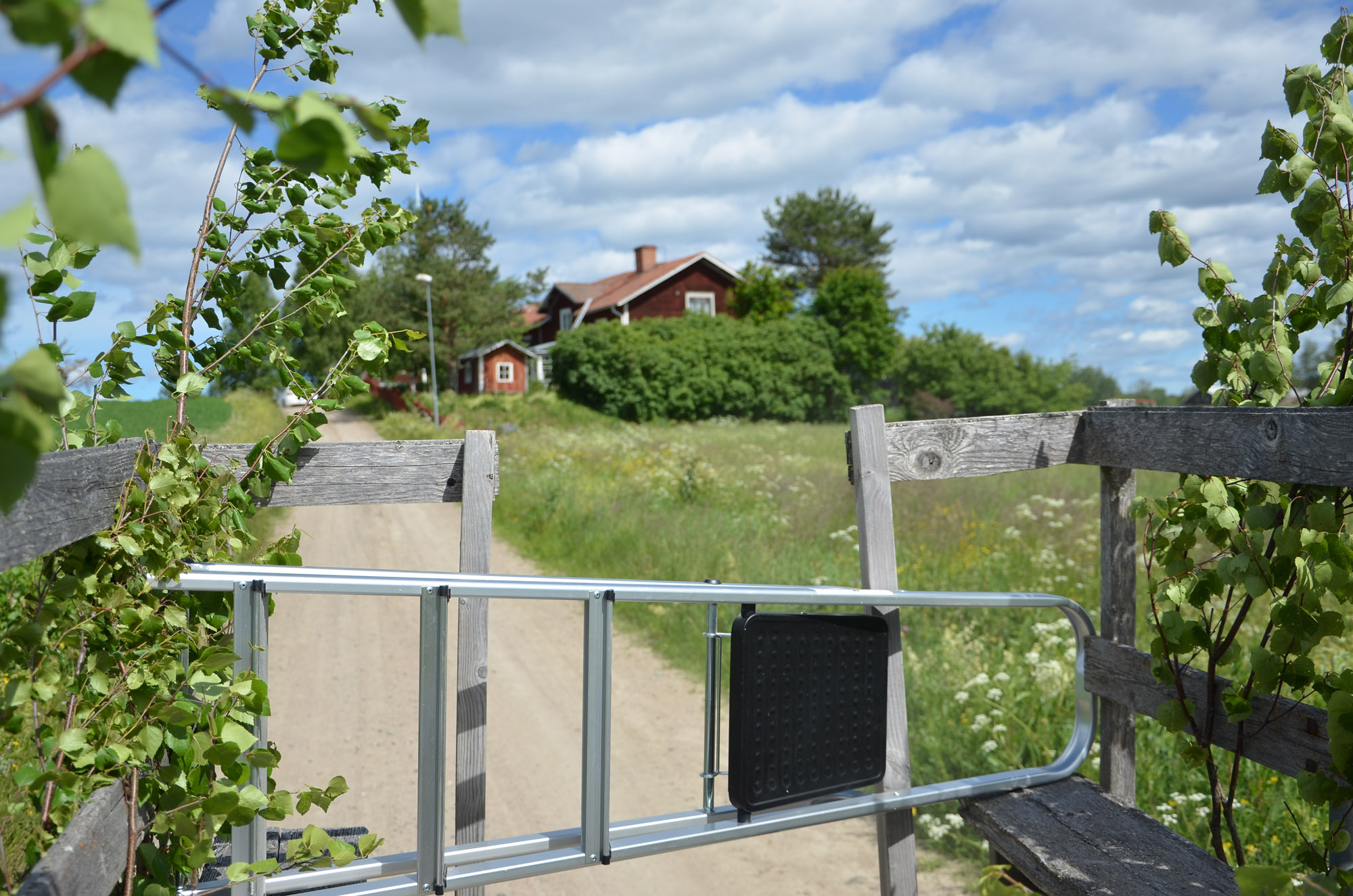 Röste.nu – Röstebilder – Midsommarfirande vid Dönjegården 2024