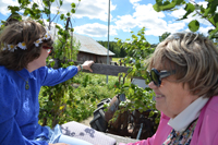 Röste.nu – Röstebilder – Midsommarfirande vid Dönjegården 2024