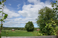 Röste.nu – Röstebilder – Midsommarfirande vid Dönjegården 2024