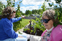 Röste.nu – Röstebilder – Midsommarfirande vid Dönjegården 2024