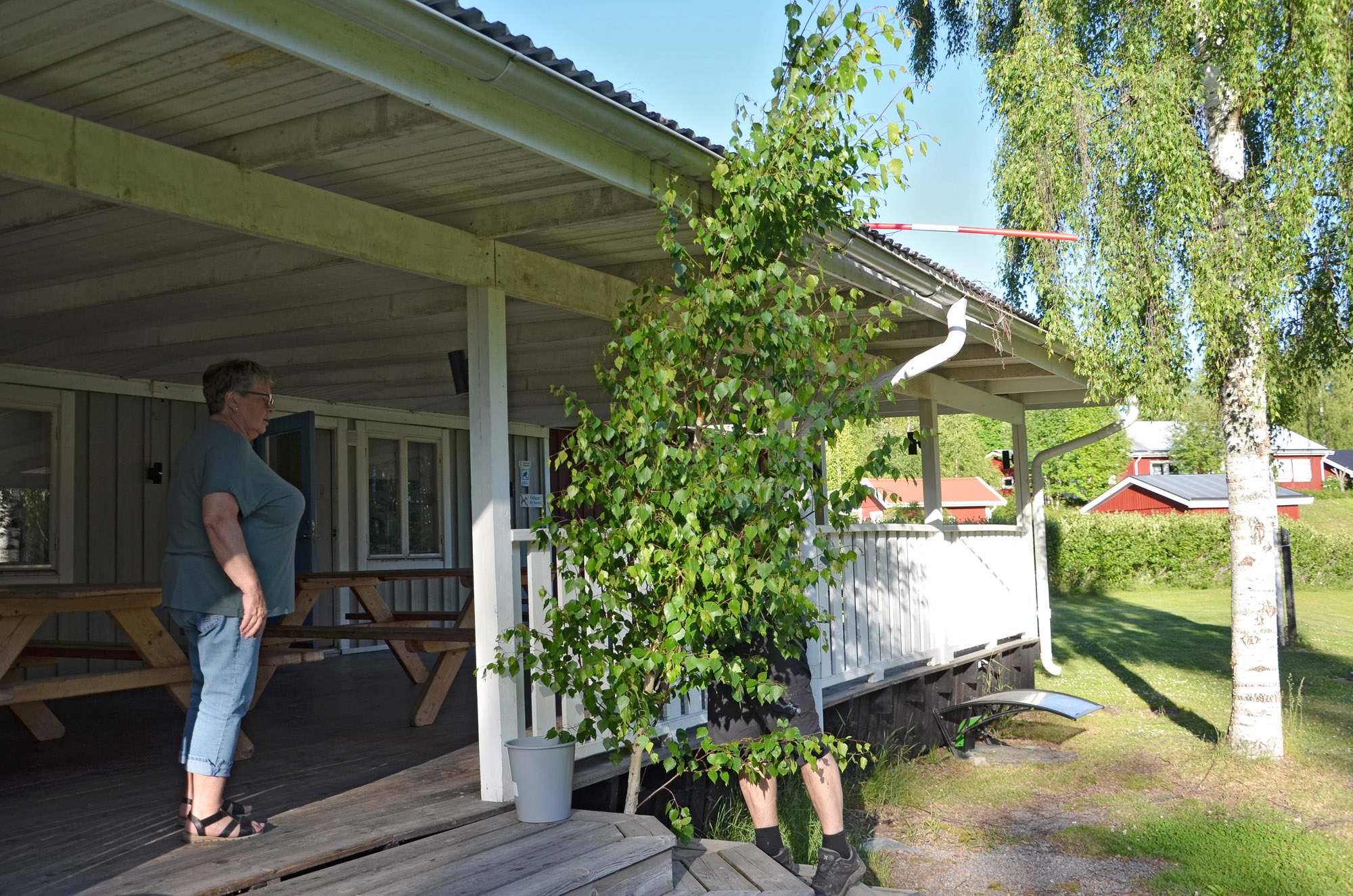 Röste.nu – Röstebilder – Inför midsommarfirandet vid Dönjegården 2024
