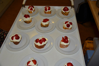 Röste.nu – Röstebilder – Midsommarfirande vid Dönjegården 2025