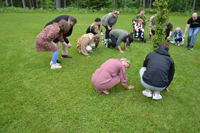 Röste.nu – Röstebilder – Midsommarfirande vid Dönjegården 2025