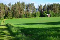 Röste.nu – Röstebilder – Midsommarfirande vid Dönjegården 2026