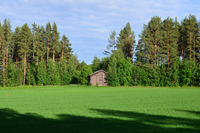 Röste.nu – Röstebilder – Midsommarfirande vid Dönjegården 2026