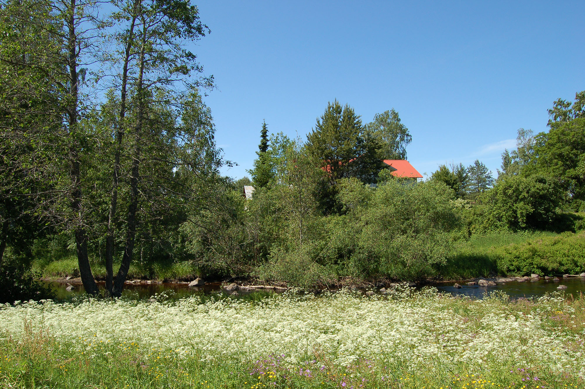 Röste.nu – Röstebilder – Midsommarfirande vid Dönjegården 2007