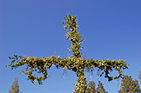 Röste.nu – Röstebilder – Midsommar i strålande sol 2007