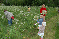 Röste.nu – Röstebilder – Midsommar firades av många vid Dönjegården 2009