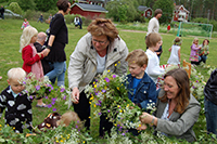 Röste.nu – Röstebilder – Midsommar firades av många vid Dönjegården 2009