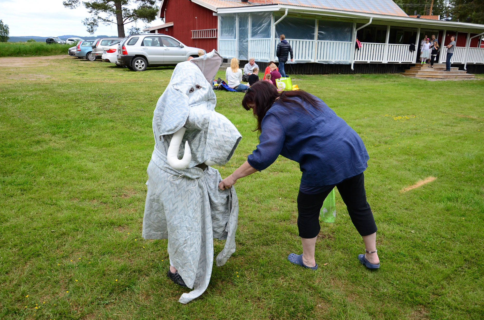 Röste.nu – Röstebilder – Midsommarfirande vid Dönjegården 2014