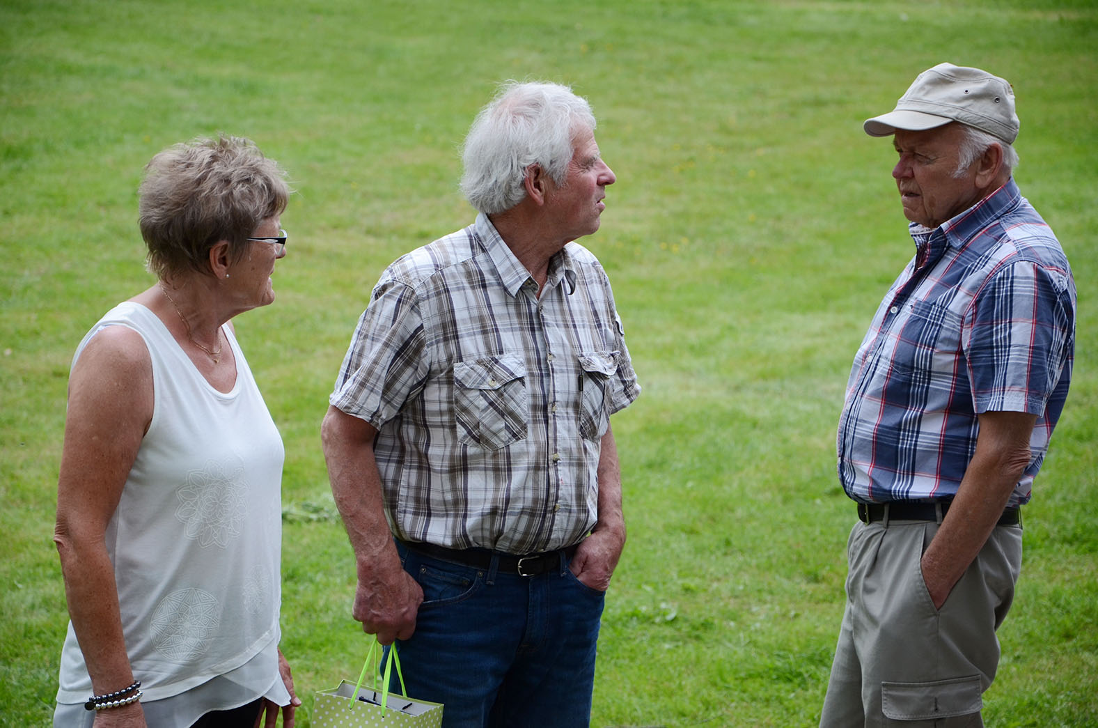 Röste.nu – Röstebilder – Midsommarfirande vid Dönjegården 2016