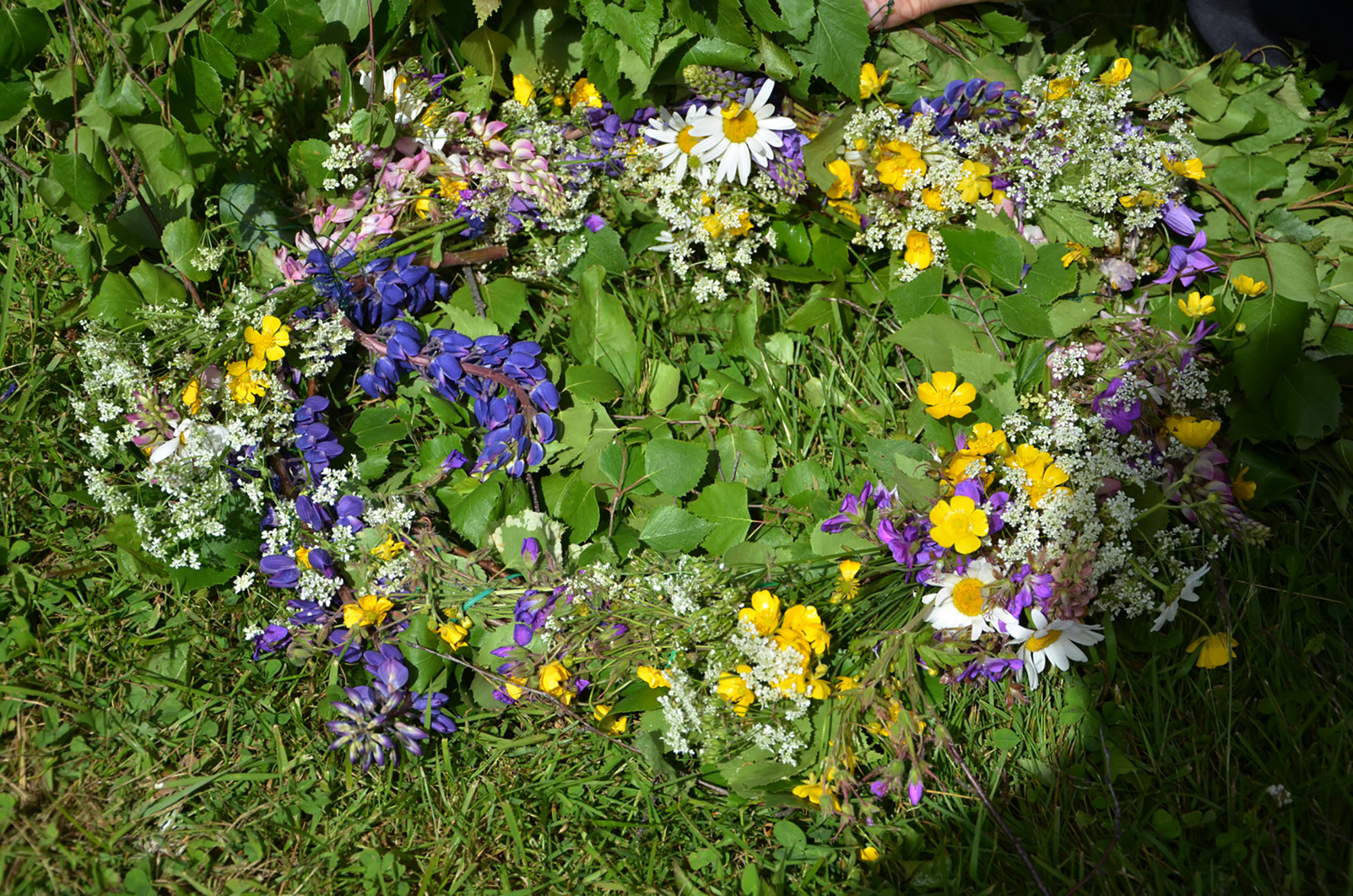 Röste.nu – Röstebilder – Midsommarfirande vid Dönjegården 2017