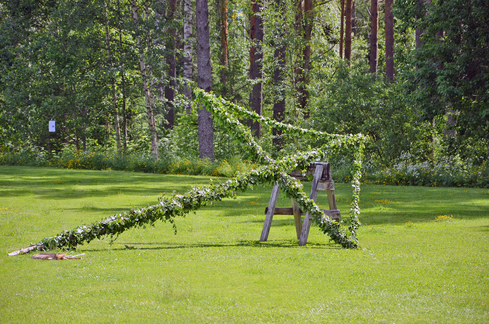 Röste.nu – Röstebilder – Midsommarfirande vid Dönjegården 2019