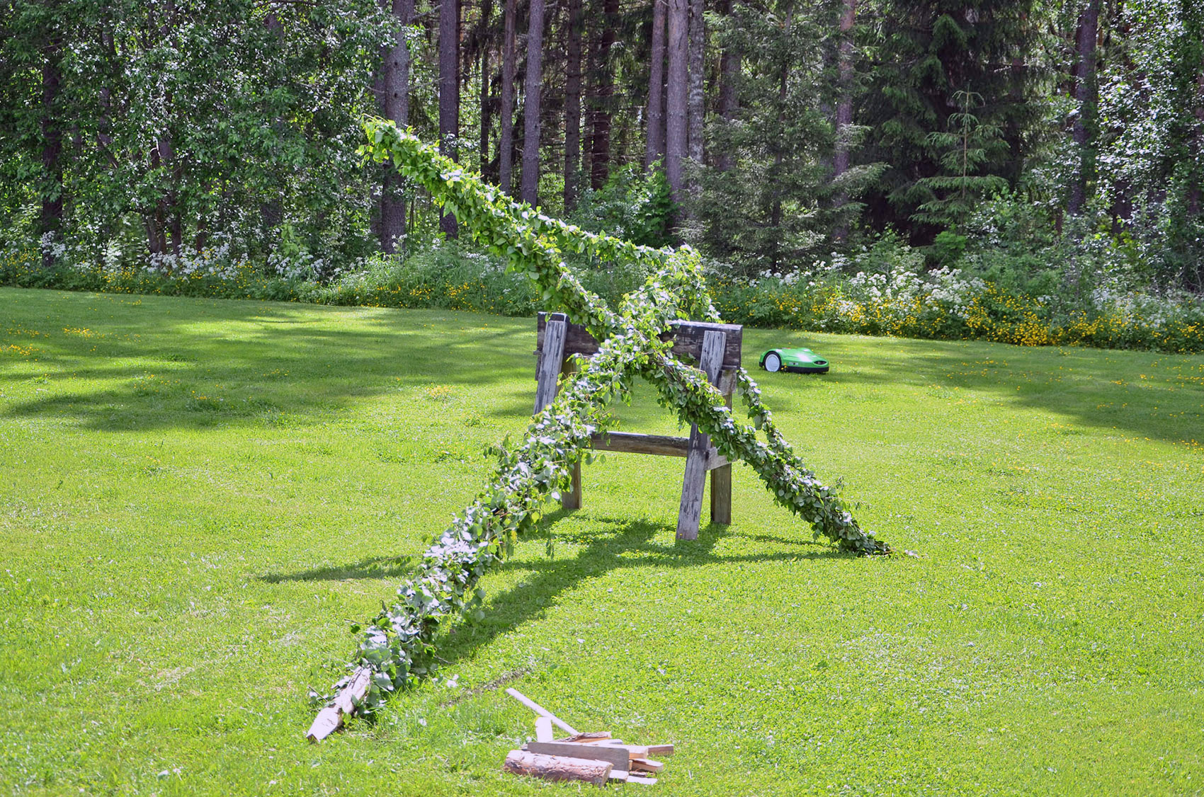 Röste.nu – Röstebilder – Midsommarfirande vid Dönjegården 2019