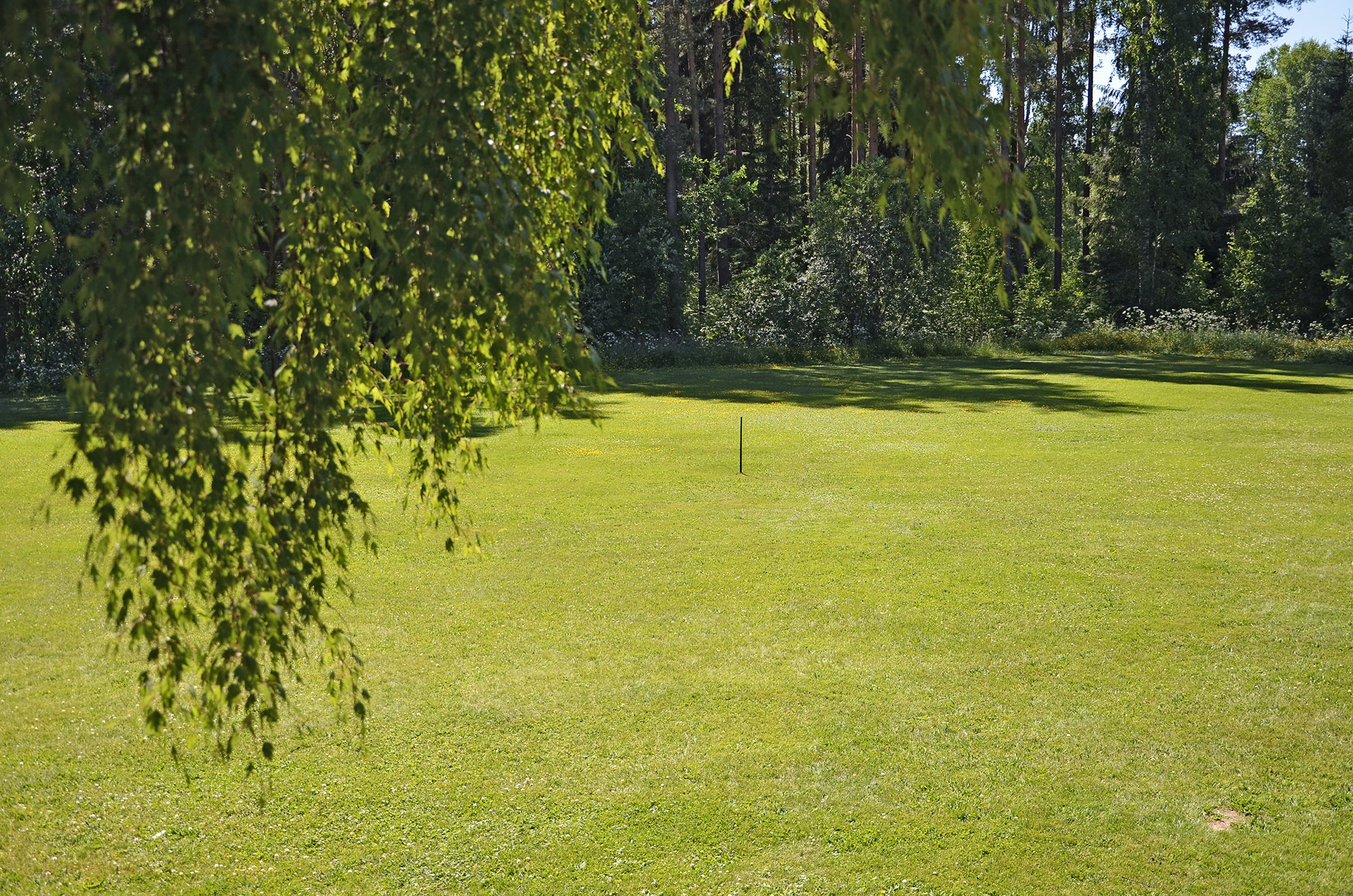 Röste.nu – Röstebilder – Midsommarfirande vid Dönjegården 2022