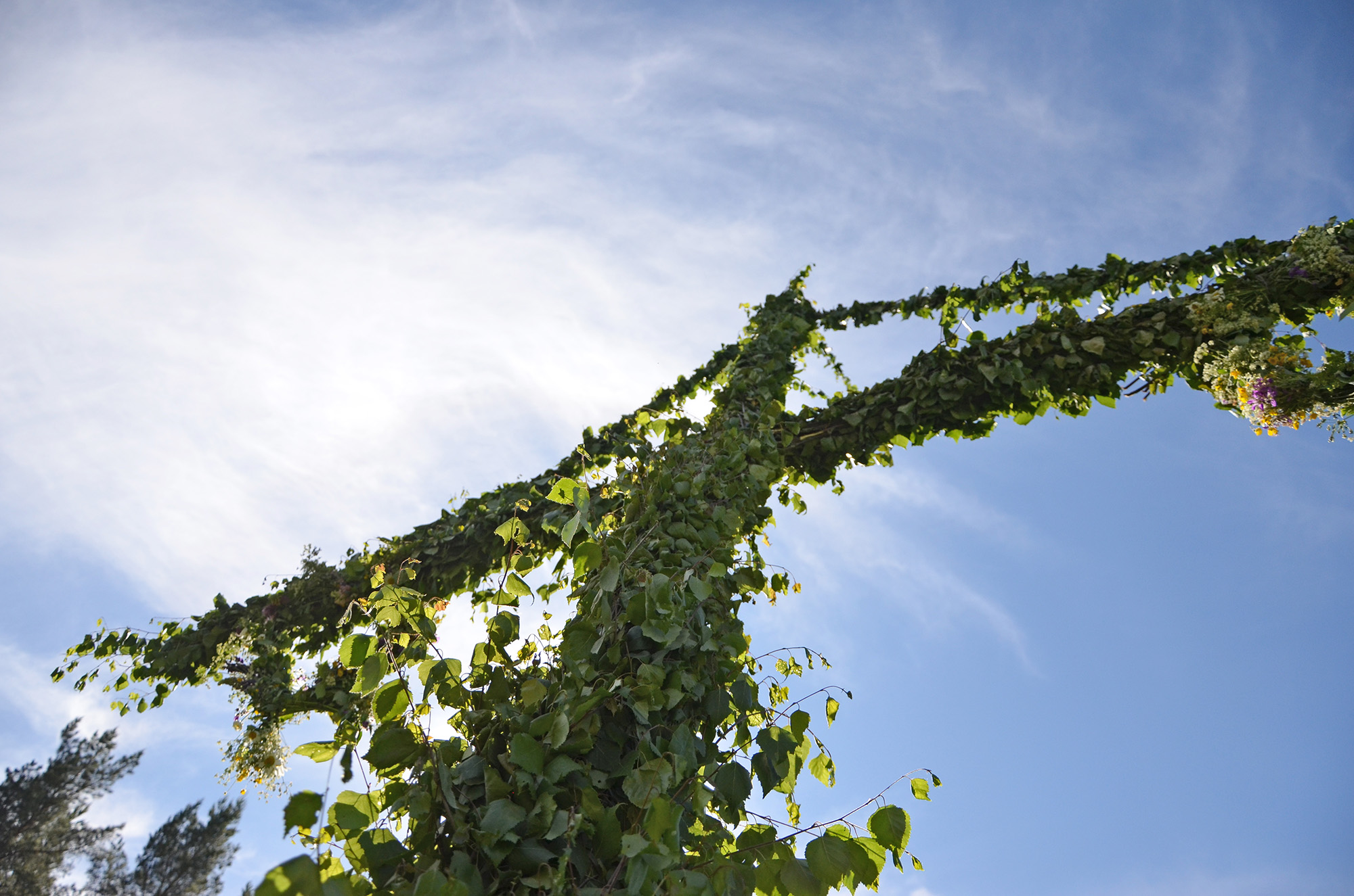 Röste.nu – Röstebilder – Midsommarfirande vid Dönjegården 2022