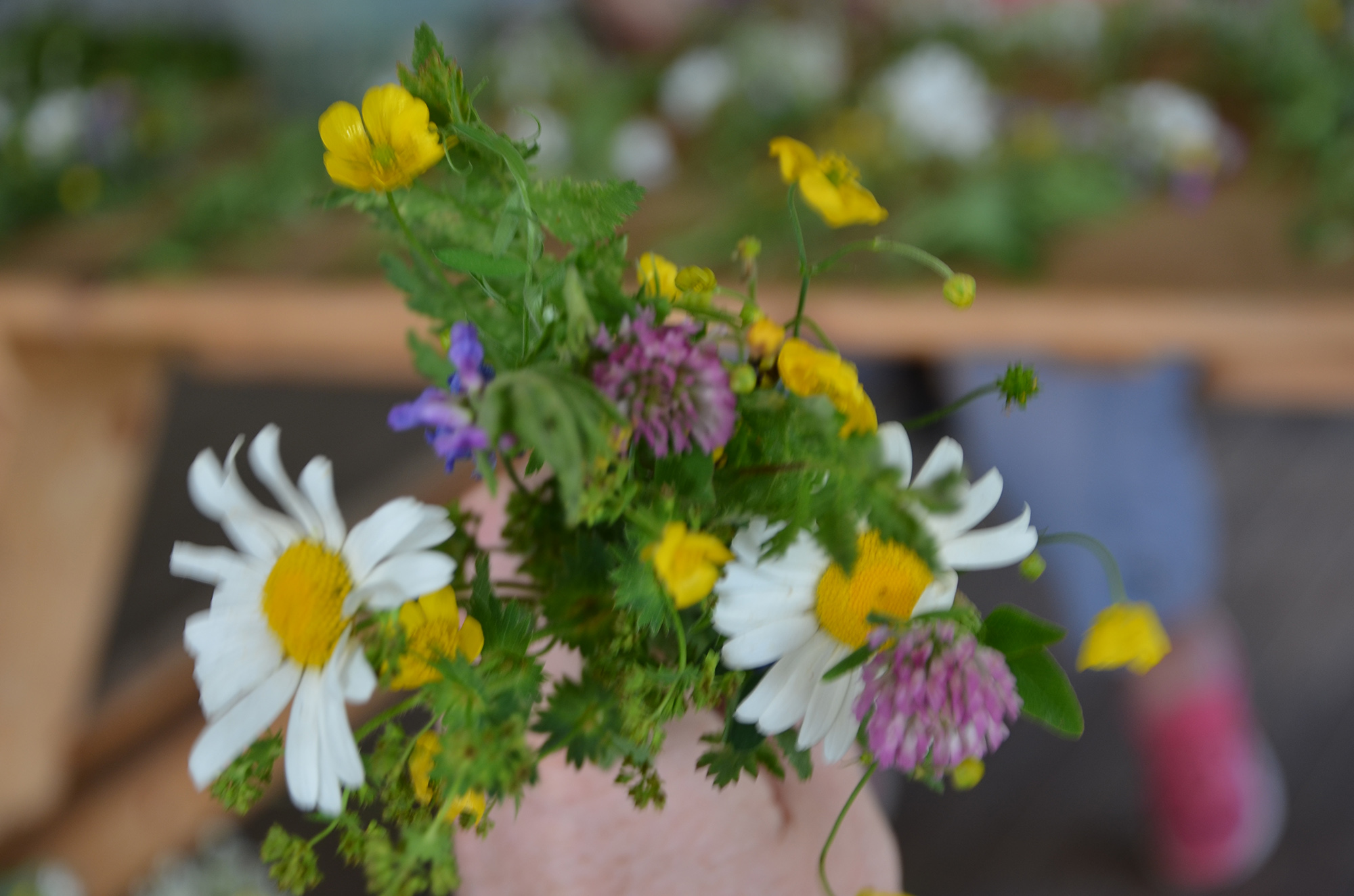 Röste.nu – Röstebilder – Midsommarfirande vid Dönjegården 2023