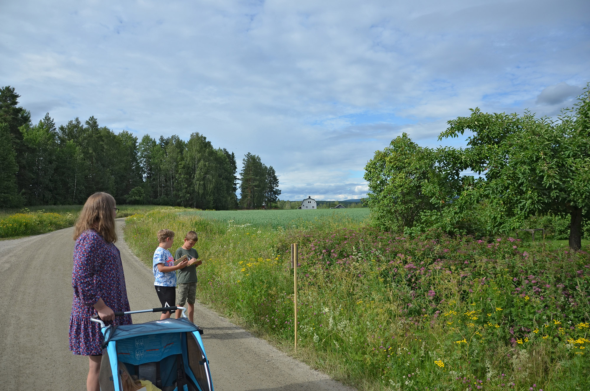 Röste.nu – Röstebilder – Motionsbingo i Röste 2024 (3 juli)