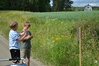 Röste.nu – Röstebilder – Motionsbingo i Röste 2024 (3 juli)