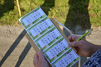 Röste.nu – Röstebilder – Motionsbingo i Röste 2024 (31 juli)