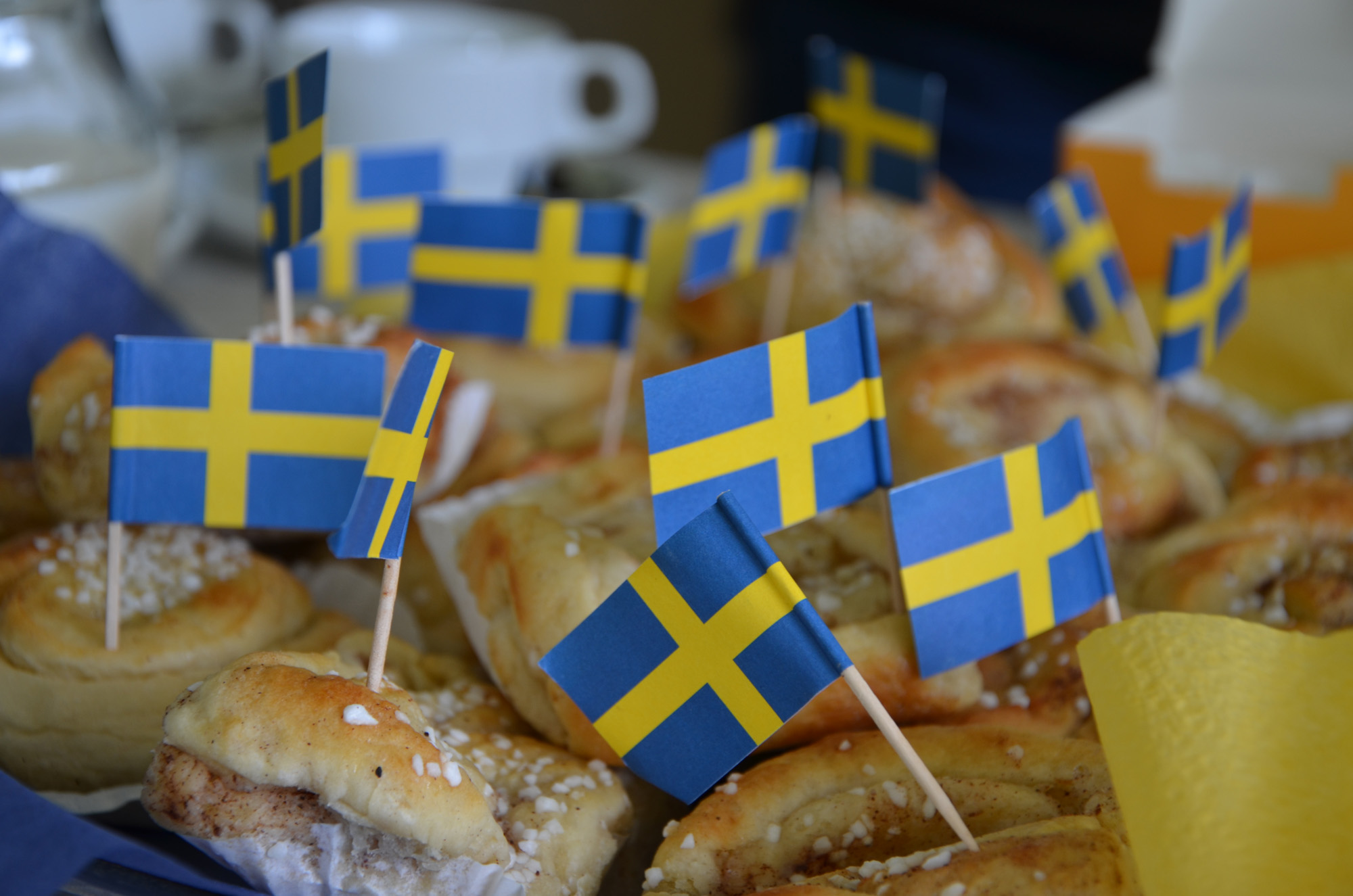 Röste.nu – Röstebilder – Nationaldagsfirande vid Dönjegården 2024