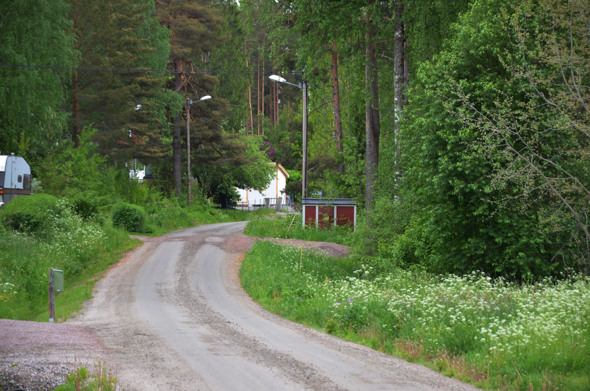 Röste.nu – Röstebilder – Nationaldagsfirande vid Dönjegården 2025
